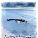 영화그리고이야기 이미지