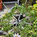 블루스카이 이미지