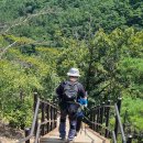 대전둘레산길(9구간) 이미지