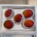 자래리농장 이미지