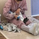 묘감 이미지