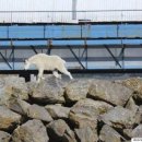 산양마을(주) 이미지