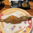 쥰스시 티스토리