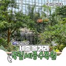 연지골 | 세종 당일치기 다양한 볼거리 국립세종수목원 예약 한국전통정원