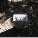 (주)금강송 이미지