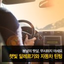 봄날의 햇살 이미지
