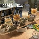 삼청동 티코스 내돈내산 후기 '삼월황'