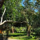 멍멍개야 | [푸꾸옥 중부-동쪽] 망고 비치 리조트 Mango Beach Resort 오션뷰 빌라