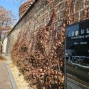 아이엠랑데자뷰북촌매그놀리아점 이미지