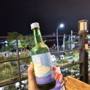 궁물 | 여수 이순신 광장 낭만밤바다포차 돌문어궁물삼합 후기