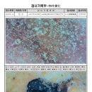 화진사