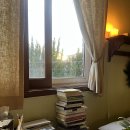 카도스테이 이미지