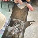 스넥테라스 이미지