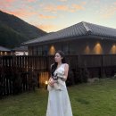 펫펜션 휴 이미지