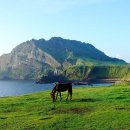 전기차충전소_동부소방서 | 제주도 여행 꿀팁 &amp; 렌트카 요령 – 제주 여행을 위한 실전 가이드