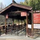 마이차이나 | 우전 수향마을 맛집 추천(마이리얼트립 차이나스토리 솔직후기)