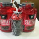 모던 퍼스널 트레이닝 이미지