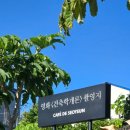 위미스테이 | [제주올레길 / #3] 영화 &lt;건축학개론&gt; 그 장소! 낭만 가득한 올레 5코스 걷기