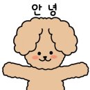캘리송 이미지