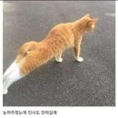 참 이미지