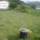 자연농원 이미지