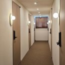 파루스셀라 성수 이미지