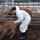 경수축산 이미지