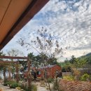 에코풀하우스 이미지