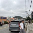 양푼이 | [영암/삼호읍] 목포 근교 영암 삼호 해물찜 맛집 [호가 양푼이] 솔직후기