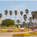 여미지식물원 이미지