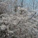 별빛민박농원 이미지