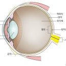공안과병원 이미지