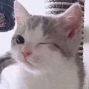 청람중학교 이미지