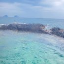 [8월제주여행]2박3일로 다녀온 제주여행 (법환포구,남매네왕갈치,산호반점,카페더씨,미풍해장국)