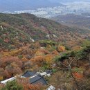 11/8 선인 설우길 계배대장님 이미지