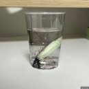 에녹목장 이미지