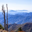 지리산풍경 이미지