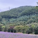 봉학골산림욕장 | 통킹이의 가을