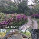 금정산行(호포역에서 초읍까지 / J3클럽) 이미지