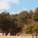 우드카빙과 힐링 이미지