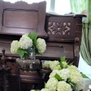 한아름 사슴 농장 이미지