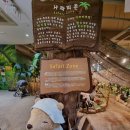 테디베어하우스 이미지