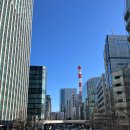 PC nine | 돈키호테 긴자본관(긴자혼칸텐)에서 쇼핑하기 #도쿄쇼핑 #내돈내산