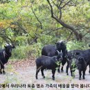 황매산기적길 이미지