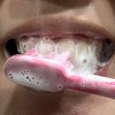 제형상사 이미지