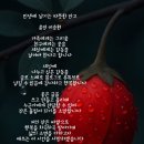 설화건강