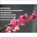 [김수환 추기경의 묵상 달력] 4월 14일 이미지