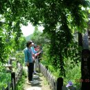 하이디하우스 이미지