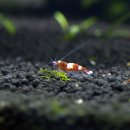 삼아어산 이미지