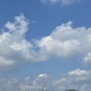 레드카펫 | 동물 행복 페스타와 함께 하는 &lt;핌피 레드카펫 입양제&gt; 참석 후기 및 댕댕이 입양 소식!